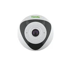 Tiandy 5MP Fisheye Panoramic IP Camera | Heat Map & AI | TC-C35VN